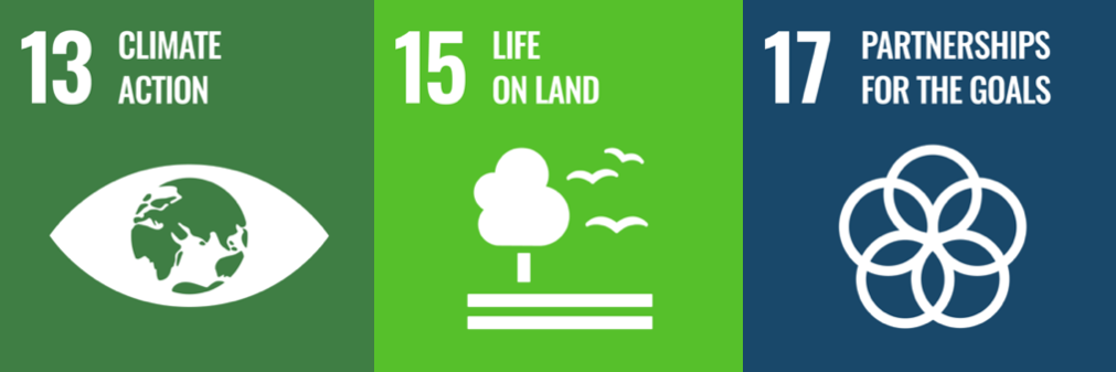 SDG 13 15 en 17 eng