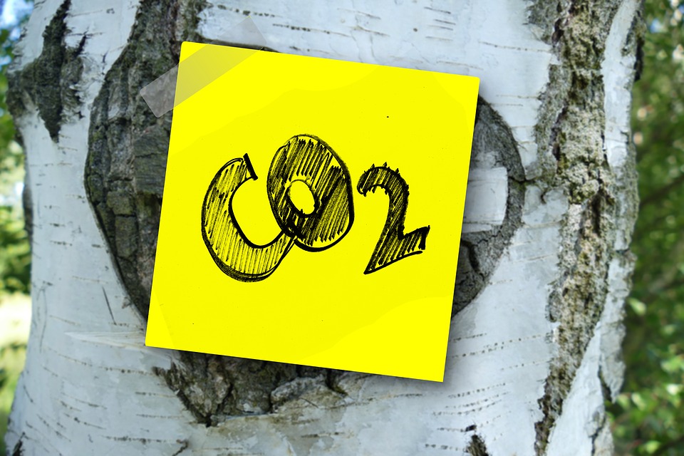 CO2 neutraal